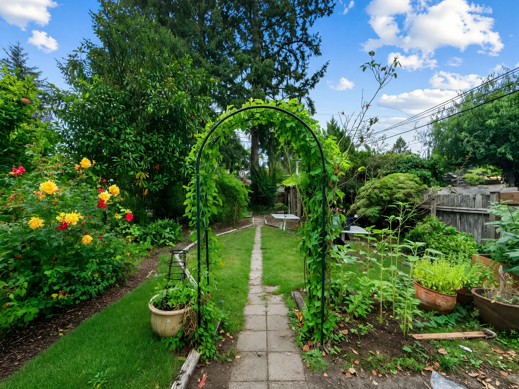 A metal arch over the garden path with climbing plants and beds either side