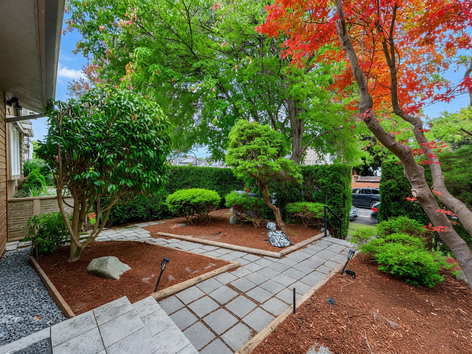 The front garden with a paved path, maples and clipped shrubs